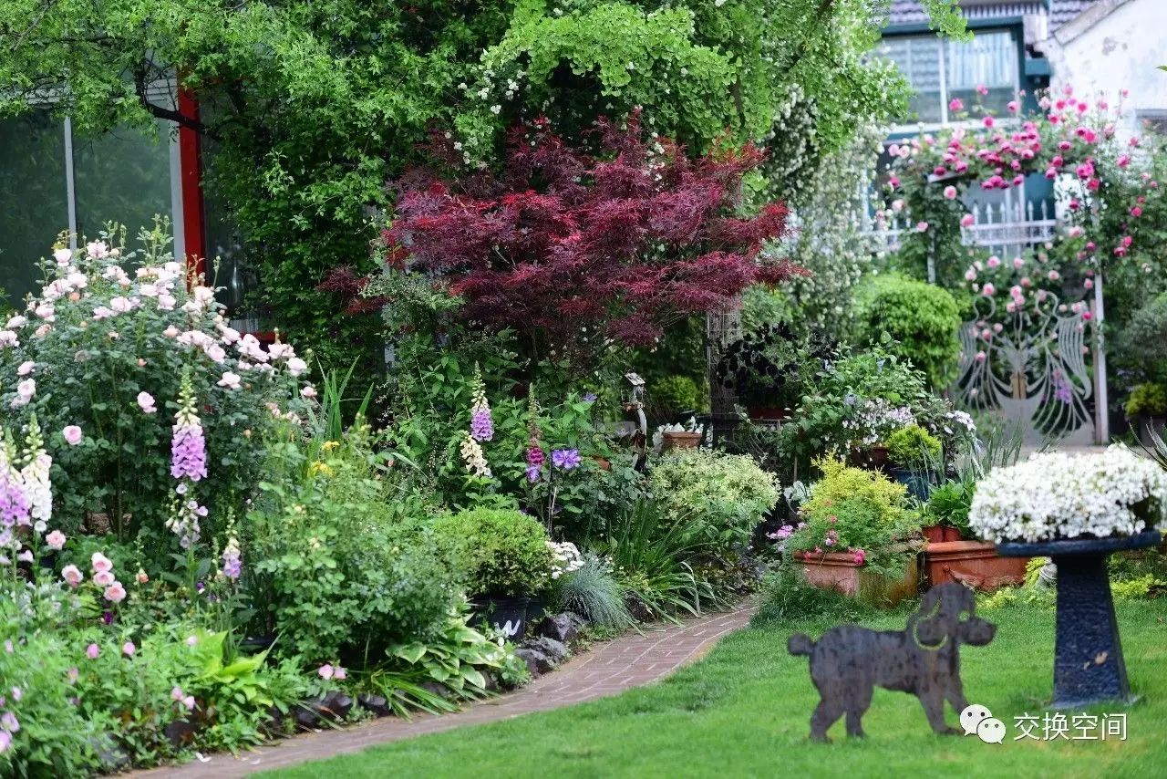 《飞猫乡舍》花园实景图1